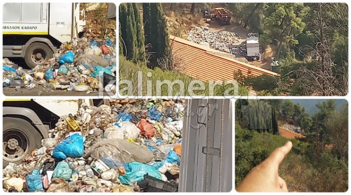 Την παρέμβαση της Διεύθυνσης Δημόσιας Υγείας ζητά ο Λύτρας για τα σκουπίδια στο Γυμνάσιο Δημητσάνας (vd)