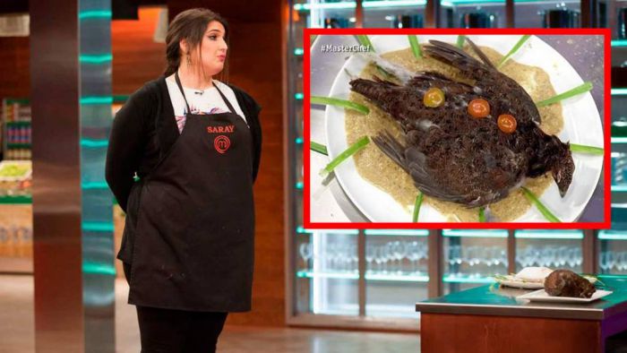 &Tau;&omicron; &pi;&iota;&omicron; &alpha;&eta;&delta;&iota;&alpha;&sigma;&tau;&iota;&kappa;ό &pi;&iota;ά&tau;&omicron; &sigma;&tau;&eta;&nu; &iota;&sigma;&tau;&omicron;&rho;ί&alpha; &tau;&omicron;&upsilon; Master Chef! (vd)