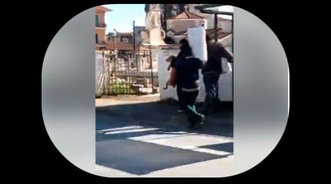 Φιλοζωικός: &quot;Δεχθήκαμε ενημέρωση για πιθανή απαγωγή σκύλου&quot; (vd)