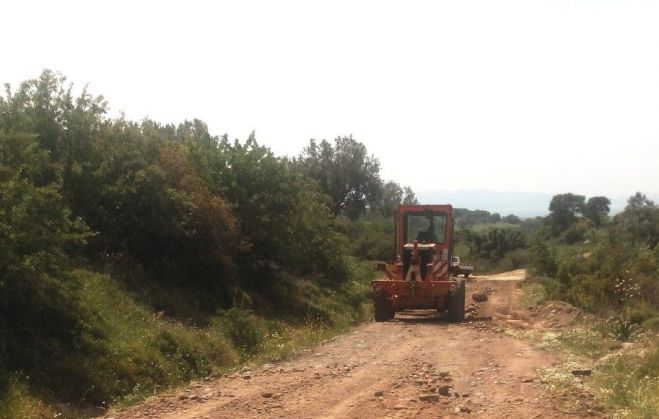 &Beta;ό&rho;&epsilon;&iota;&alpha; &Kappa;&upsilon;&nu;&omicron;&upsilon;&rho;ί&alpha; | &Nu;έ&alpha; έ&rho;&gamma;&alpha; &gamma;&iota;&alpha; &alpha;&gamma;&rho;&omicron;&tau;&iota;&kappa;&omicron;ύ&sigmaf; &delta;&rho;ό&mu;&omicron;&upsilon;&sigmaf; &sigma;&tau;&alpha; &Delta;&omicron;&lambda;&iota;&alpha;&nu;ά