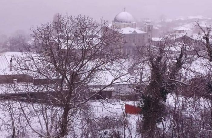 &Kappa;&alpha;&kappa;&omicron;&kappa;&alpha;&iota;&rho;ί&alpha; | &Epsilon;&lambda;&alpha;&phi;&rho;&iota;ά &chi;&iota;&omicron;&nu;ό&pi;&tau;&omega;&sigma;&eta; &sigma;&tau;&eta;&nu; &Tau;&rho;ί&pi;&omicron;&lambda;&eta;, &pi;&iota;&omicron; &pi;&upsilon;&kappa;&nu;ή &sigma;&tau;&eta;&nu; &omicron;&rho;&epsilon;&iota;&nu;ή &Kappa;&upsilon;&nu;&omicron;&upsilon;&rho;ί&alpha; (vd)