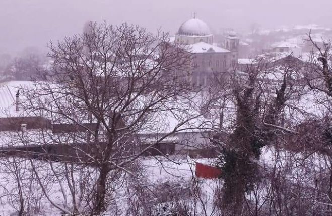 &Kappa;&alpha;&kappa;&omicron;&kappa;&alpha;&iota;&rho;ί&alpha; | &Epsilon;&lambda;&alpha;&phi;&rho;&iota;ά &chi;&iota;&omicron;&nu;ό&pi;&tau;&omega;&sigma;&eta; &sigma;&tau;&eta;&nu; &Tau;&rho;ί&pi;&omicron;&lambda;&eta;, &pi;&iota;&omicron; &pi;&upsilon;&kappa;&nu;ή &sigma;&tau;&eta;&nu; &omicron;&rho;&epsilon;&iota;&nu;ή &Kappa;&upsilon;&nu;&omicron;&upsilon;&rho;ί&alpha; (vd)