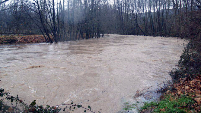 &Mu;&epsilon;&gamma;ά&lambda;&epsilon;&sigmaf; &pi;&lambda;&eta;&mu;&mu;ύ&rho;&epsilon;&sigmaf; &sigma;&tau;&omicron;&nu; &kappa;ά&mu;&pi;&omicron; &tau;&omicron;&upsilon; &Delta;ά&rho;&alpha; (&epsilon;&iota;&kappa;ό&nu;&epsilon;&sigmaf;)!