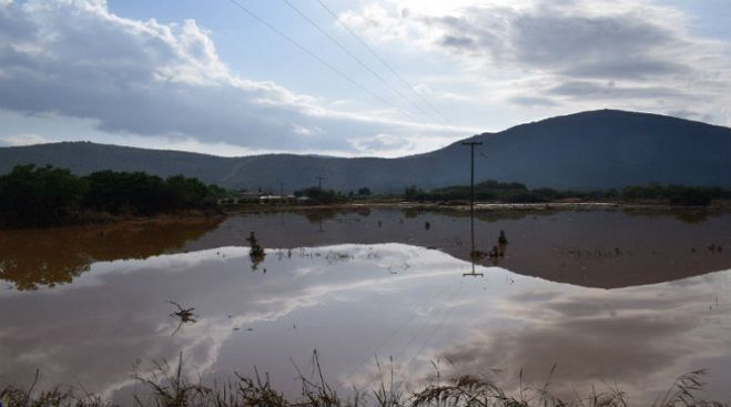 &Nu;&epsilon;&omicron;&chi;ώ&rho;&iota; &ndash; &Kappa;&alpha;&tau;&alpha;&sigma;&tau;&rho;ά&phi;&eta;&kappa;&epsilon; &tau;&omicron; 95% &tau;&omega;&nu; &kappa;&alpha;&lambda;&lambda;&iota;&epsilon;&rho;&gamma;&epsilon;&iota;ώ&nu; ...