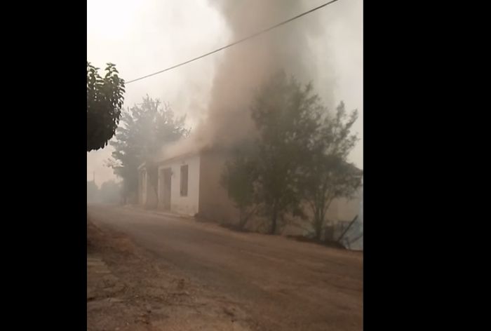 &Omicron;&iota; &kappa;ά&tau;&omicron;&iota;&kappa;&omicron;&iota; &tau;&eta;&sigmaf; &kappa;ά&tau;&omega; &Gamma;&omicron;&rho;&tau;&upsilon;&nu;ί&alpha;&sigmaf; &beta;ί&omega;&sigma;&alpha;&nu; έ&nu;&alpha; &pi;&rho;&alpha;&gamma;&mu;&alpha;&tau;&iota;&kappa;ό &Beta;&Iota;&Alpha;&Sigma;&Mu;&Omicron; &tau;&eta;&sigmaf; &Gamma;&Eta;&Sigma;, &tau;&omicron;&upsilon; &Delta;ά&sigma;&omicron;&upsilon;&sigmaf; &kappa;&alpha;&iota; &tau;&omega;&nu; &pi;&epsilon;&rho;&iota;&omicron;&upsilon;&sigma;&iota;ώ&nu; &mu;&alpha;&sigmaf;