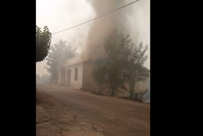 &Omicron;&iota; &kappa;ά&tau;&omicron;&iota;&kappa;&omicron;&iota; &tau;&eta;&sigmaf; &kappa;ά&tau;&omega; &Gamma;&omicron;&rho;&tau;&upsilon;&nu;ί&alpha;&sigmaf; &beta;ί&omega;&sigma;&alpha;&nu; έ&nu;&alpha; &pi;&rho;&alpha;&gamma;&mu;&alpha;&tau;&iota;&kappa;ό &Beta;&Iota;&Alpha;&Sigma;&Mu;&Omicron; &tau;&eta;&sigmaf; &Gamma;&Eta;&Sigma;, &tau;&omicron;&upsilon; &Delta;ά&sigma;&omicron;&upsilon;&sigmaf; &kappa;&alpha;&iota; &tau;&omega;&nu; &pi;&epsilon;&rho;&iota;&omicron;&upsilon;&sigma;&iota;ώ&nu; &mu;&alpha;&sigmaf;