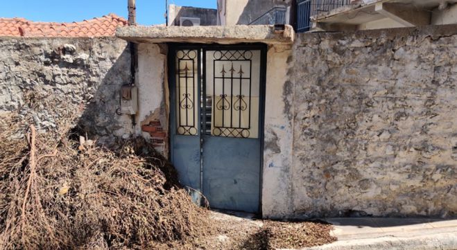 &Phi;&upsilon;&lambda;&alpha;&kappa;έ&sigmaf; &Nu;&alpha;&upsilon;&pi;&lambda;ί&omicron;&upsilon; | &Xi;&upsilon;&lambda;&omicron;&kappa;ό&pi;&eta;&sigma;&alpha;&nu; ά&gamma;&rho;&iota;&alpha; &tau;&omicron;&nu; &Rho;&omicron;&upsilon;&mu;ά&nu;&omicron; &pi;&omicron;&upsilon; &tau;&sigma;&iota;&mu;έ&nu;&tau;&omega;&sigma;&epsilon; &tau;&eta; &gamma;&upsilon;&nu;&alpha;ί&kappa;&alpha; &tau;&omicron;&upsilon; &sigma;&tau;&eta;&nu; &Kappa;&upsilon;&pi;&alpha;&rho;&iota;&sigma;&sigma;ί&alpha;