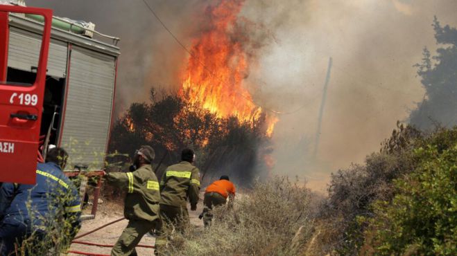 &Phi;&omega;&tau;&iota;ά &sigma;&tau;&eta; &Mu;&alpha;&gamma;&nu;&eta;&sigma;ί&alpha; | &Nu;&epsilon;&kappa;&rho;ό&sigmaf; &omicron; 45&chi;&rho;&omicron;&nu;&omicron;&sigmaf; &kappa;&tau;&eta;&nu;&omicron;&tau;&rho;ό&phi;&omicron;&sigmaf; &pi;&omicron;&upsilon; &alpha;&gamma;&nu;&omicron;&omicron;ύ&nu;&tau;&alpha;&nu;&nbsp;