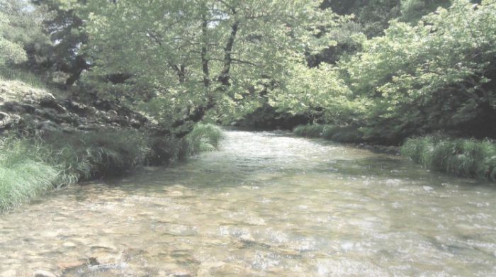 Ερώτηση Βελόπουλου στη Βουλή για την αντίδραση στην Γορτυνία σχετικά με Υδροηλεκτρικό Σταθμό στον ποταμό Ερύμανθο