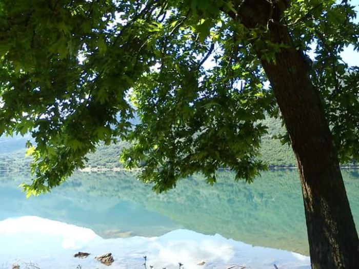 &Zeta;&omicron;&phi;&epsilon;&rho;ό &tau;&omicron; &mu;έ&lambda;&lambda;&omicron;&nu; &gamma;&iota;&alpha; &tau;&eta;&nu; Έ&nu;&omega;&sigma;&eta; &Beta;&alpha;&chi;&lambda;&alpha;ί&omega;&nu;