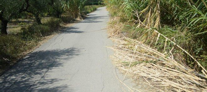 &Delta;&alpha;&sigma;&alpha;&rho;&chi;&epsilon;ί&omicron; &Kappa;&upsilon;&nu;&omicron;&upsilon;&rho;ί&alpha;&sigmaf; | &Alpha;&nu;&alpha;&kappa;&omicron;ί&nu;&omega;&sigma;&eta; &gamma;&iota;&alpha; &kappa;&omicron;&pi;ή &kappa;&lambda;&alpha;&delta;&iota;ώ&nu; &sigma;&epsilon; &alpha;&gamma;&rho;&omicron;&kappa;&tau;ή&mu;&alpha;&tau;&alpha; - &Pi;&omicron;&iota;&omicron;&upsilon;&sigmaf; &alpha;&phi;&omicron;&rho;ά