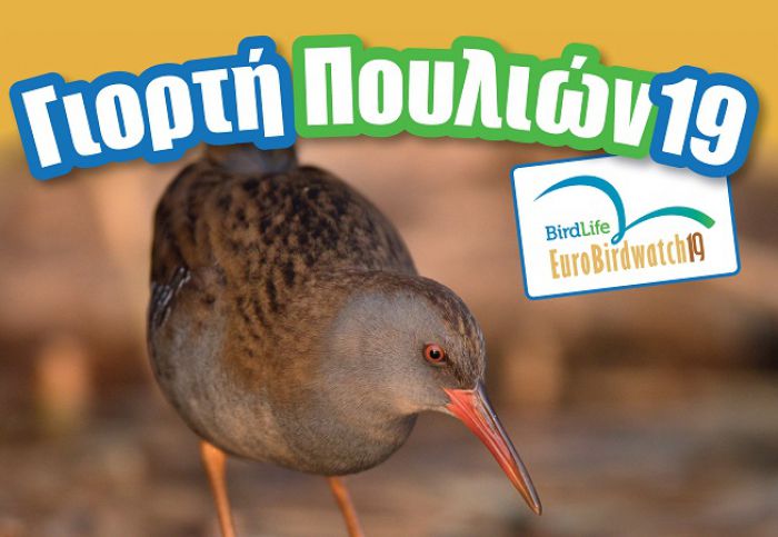 Πανευρωπαϊκή Γιορτής των Πουλιών στη λιμνοθάλασσα του Μουστού