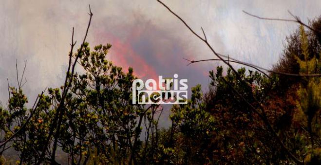 &Sigma;&upsilon;&nu;&epsilon;&chi;&epsilon;ί&sigmaf; &alpha;&nu;&alpha;&zeta;&omicron;&pi;&upsilon;&rho;ώ&sigma;&epsilon;&iota;&sigmaf; &sigma;&tau;&eta; &Nu;&epsilon;&mu;&omicron;ύ&tau;&alpha; &tau;&eta;&sigmaf; &Eta;&lambda;&epsilon;ί&alpha;&sigmaf;