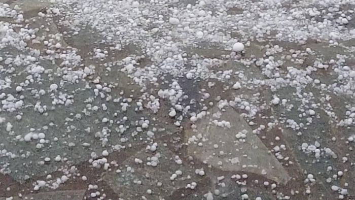 &Zeta;&eta;&mu;&iota;έ&sigmaf; &sigma;&epsilon; &epsilon;&lambda;&alpha;&iota;ό&delta;&epsilon;&nu;&tau;&rho;&alpha; &alpha;&pi;ό &tau;&eta; &chi;&alpha;&lambda;&alpha;&zeta;ό&pi;&tau;&omega;&sigma;&eta; &tau;&eta;&nu; &kappa;&omicron;&iota;&nu;ό&tau;&eta;&tau;&alpha; &Gamma;&iota;&alpha;&nu;&nu;&alpha;ί&omega;&nu; &Mu;&epsilon;&gamma;&alpha;&lambda;ό&pi;&omicron;&lambda;&eta;&sigmaf;