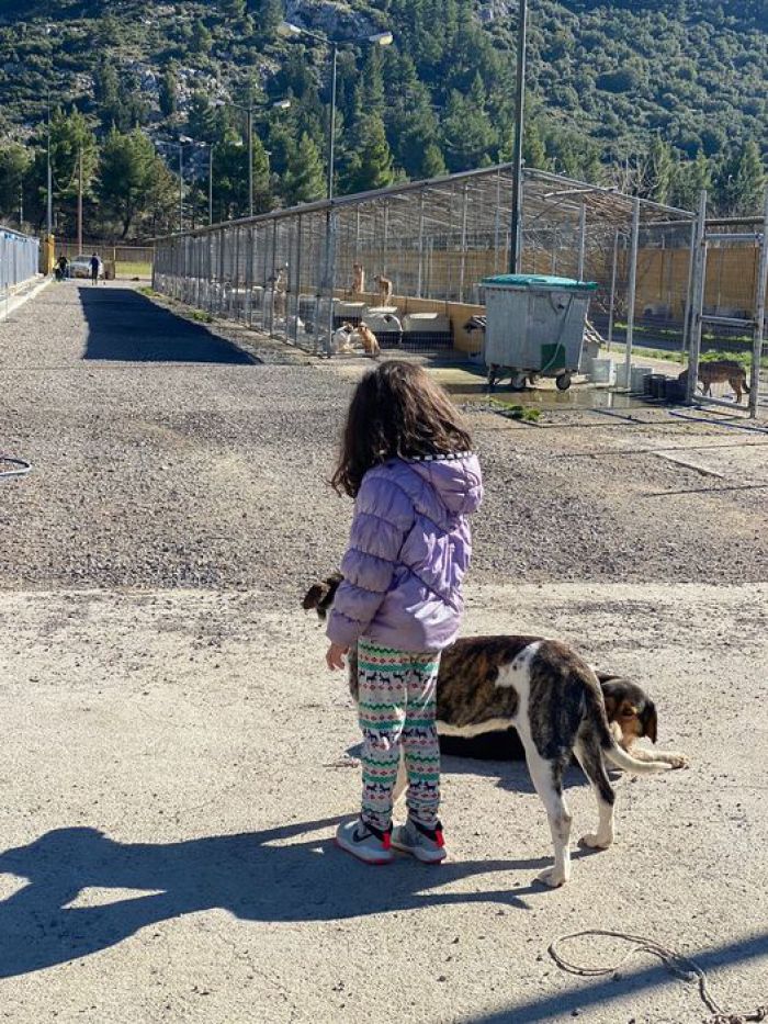 Η πιο μικρή εθελόντρια στο δημοτικό κυνοκομείο Τρίπολης!