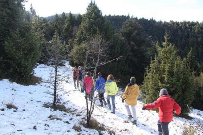 Το χιονισμένο δάσος της Μαλεβής επισκέφθηκαν μαθητές από το Ναύπλιο (εικόνες)