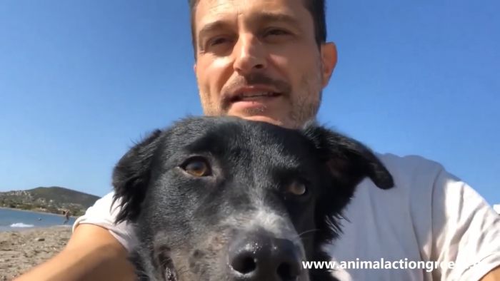 T&omicron; &sigma;&upsilon;&gamma;&kappa;&iota;&nu;&eta;&tau;&iota;&kappa;ό &mu;ή&nu;&upsilon;&mu;&alpha; &tau;&omicron;&upsilon; &Gamma;&iota;ώ&rho;&gamma;&omicron;&upsilon; &Kappa;&alpha;&rho;&alpha;&mu;ί&chi;&omicron;&upsilon; &gamma;&iota;&alpha; &tau;&eta;&nu; &Pi;&alpha;&gamma;&kappa;ό&sigma;&mu;&iota;&alpha; &Eta;&mu;έ&rho;&alpha; &tau;&omega;&nu; &Zeta;ώ&omega;&nu; (4&eta; &Omicron;&kappa;&tau;&omega;&beta;&rho;ί&omicron;&upsilon;)