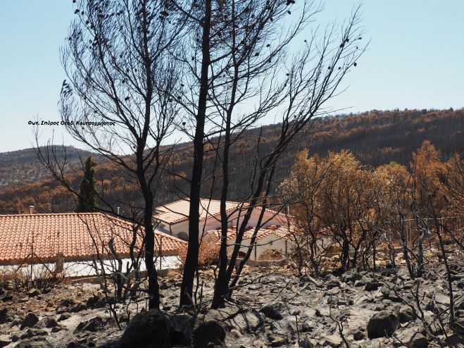 &Sigma;ώ&theta;&eta;&kappa;&epsilon; &alpha;&pi;ό &tau;&iota;&sigmaf; &phi;&omega;&tau;&iota;έ&sigmaf; &mu;&omicron;&nu;&alpha;&sigma;&tau;ή&rho;&iota; &pi;&omicron;&upsilon; ί&delta;&rho;&upsilon;&sigma;&epsilon; &omicron; &pi;&rho;ώ&eta;&nu; &Gamma;ό&rho;&tau;&upsilon;&nu;&omicron;&sigmaf; &kappa;&alpha;&iota; &Mu;&epsilon;&gamma;&alpha;&lambda;&omicron;&upsilon;&pi;ό&lambda;&epsilon;&omega;&sigmaf; &Kappa;&upsilon;&rho;ό&sigmaf; &Iota;&epsilon;&rho;&epsilon;&mu;ί&alpha;&sigmaf; &Phi;&omicron;ύ&nu;&tau;&alpha;&sigmaf;