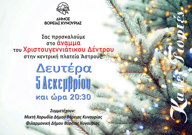 Την Δευτέρα θα φωταγωγηθεί το Χριστουγεννιάτικο Δένδρο στο Άστρος!