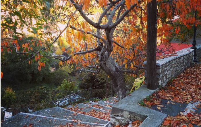Η πανέμορφη Φθινοπωρινή Στεμνίτσα μέσα από το Instagram! (εικόνες)
