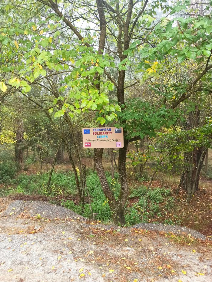 &Mu;&alpha;&theta;ή&tau;&rho;&iota;&epsilon;&sigmaf; &kappa;&alpha;&iota; &mu;&alpha;&theta;&eta;&tau;έ&sigmaf; &phi;ύ&tau;&epsilon;&upsilon;&sigma;&alpha;&nu; &delta;έ&nu;&delta;&rho;&alpha; &sigma;&tau;&omicron; ά&lambda;&sigma;&omicron;&sigmaf; &tau;&omicron;&upsilon; &Alpha;&gamma;ί&omicron;&upsilon; &Gamma;&epsilon;&omega;&rho;&gamma;ί&omicron;&upsilon;