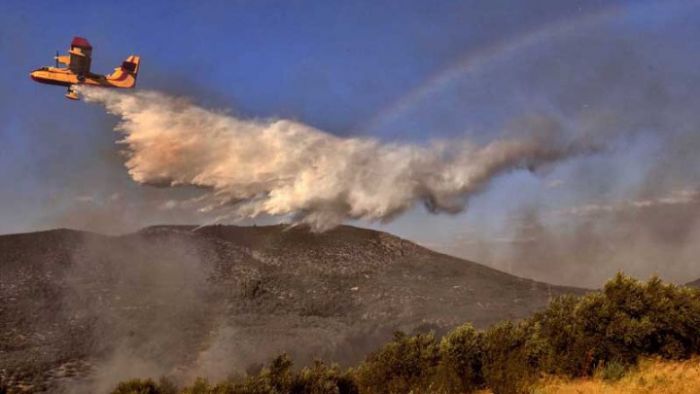 Δύο ελικόπτερα και τέσσερα Canadair ρίχνουν νερό πάνω από το φλεγόμενο μέτωπο της Ηραίας