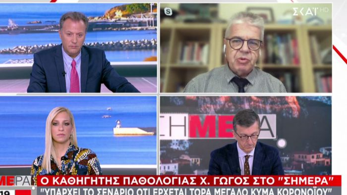 Γώγος σε ΣΚΑΪ: "Τέλη Δεκεμβρίου περιμένουμε εγκρίσεις για τα εμβόλια - Μέτρα και το 2021"