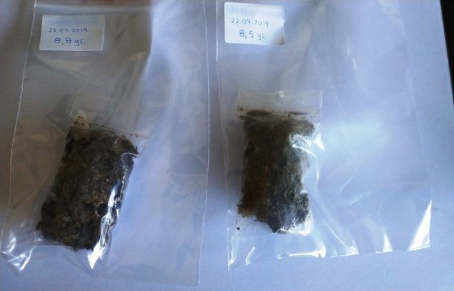 &Omicron;&Pi;&Kappa;&Epsilon; | &Sigma;ύ&lambda;&lambda;&eta;&psi;&eta; &gamma;&iota;&alpha; &kappa;ά&nu;&nu;&alpha;&beta;&eta; &sigma;&tau;&eta;&nu; &Alpha;&rho;&kappa;&alpha;&delta;ί&alpha;