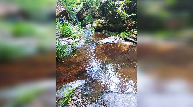 &Epsilon;&Omicron;&Sigma; &Tau;&rho;ί&pi;&omicron;&lambda;&eta;&sigmaf; | &Pi;&epsilon;&zeta;&omicron;&pi;&omicron;&rho;ί&alpha; &sigma;&tau;&eta; &Beta;&lambda;&alpha;&chi;&omicron;&kappa;&epsilon;&rho;&alpha;&sigma;&iota;ά, &sigma;&tau;&omicron; &delta;ά&sigma;&omicron;&sigmaf; &tau;&eta;&sigmaf; &Sigma;&kappa;&iota;&rho;ί&tau;&iota;&delta;&alpha;&sigmaf;