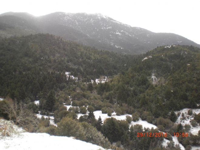 Χιόνια και στο Δυρράχι Φαλαισίας (εικόνες)