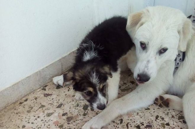 Χάθηκε ο Μπεν ...