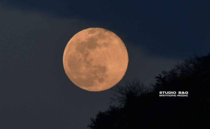 &Eta; &rho;&omicron;&zeta; &pi;&alpha;&nu;&sigma;έ&lambda;&eta;&nu;&omicron;&sigmaf; &tau;&eta;&sigmaf; Ά&nu;&omicron;&iota;&xi;&eta;&sigmaf; &pi;ά&nu;&omega; &alpha;&pi;ό &tau;&omicron; &Nu;&alpha;ύ&pi;&lambda;&iota;&omicron;!