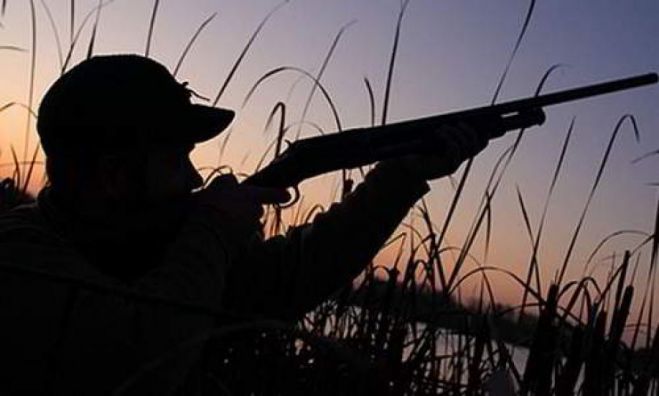 &Alpha;&pi;&epsilon;&iota;&lambda;&eta;&tau;&iota;&kappa;ά &tau;&eta;&lambda;&epsilon;&phi;&omega;&nu;ή&mu;&alpha;&tau;&alpha; &kappa;&alpha;&tau;&alpha;&gamma;&gamma;έ&lambda;&lambda;&epsilon;&iota; &eta; &Kappa;&upsilon;&nu;&eta;&gamma;&epsilon;&tau;&iota;&kappa;ή &Omicron;&mu;&omicron;&sigma;&pi;&omicron;&nu;&delta;ί&alpha; &Pi;&epsilon;&lambda;&omicron;&pi;&omicron;&nu;&nu;ή&sigma;&omicron;&upsilon;