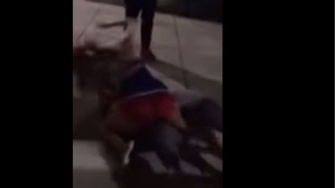 Ά&gamma;&rho;&iota;&omicron; &xi;ύ&lambda;&omicron; &alpha;&pi;ό cheerleaders &sigma;&epsilon; High School &sigma;&tau;&eta;&nu; &Kappa;&alpha;&lambda;&iota;&phi;ό&rho;&nu;&iota;&alpha; (vd)