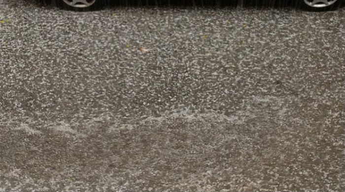 &Pi;&rho;ό&beta;&lambda;&eta;&mu;&alpha; &sigma;&tau;&eta;&nu; &Tau;&sigma;&alpha;&kappa;ώ&nu;&alpha; &lambda;ό&gamma;&omega; &chi;&alpha;&lambda;&alpha;&zeta;ό&pi;&tau;&omega;&sigma;&eta;&sigmaf;;