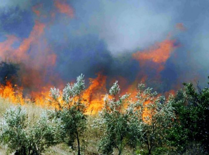 &Pi;&omicron;&lambda;ύ &upsilon;&psi;&eta;&lambda;ό&sigmaf; &kappa;ί&nu;&delta;&upsilon;&nu;&omicron;&sigmaf; &pi;&upsilon;&rho;&kappa;&alpha;&gamma;&iota;ά&sigmaf; &tau;&eta;&nu; &Pi;&alpha;&rho;&alpha;&sigma;&kappa;&epsilon;&upsilon;ή (9.8.2026) &sigma;&tau;&omicron;&nu; &delta;ή&mu;&omicron; &Tau;&rho;ί&pi;&omicron;&lambda;&eta;&sigmaf;