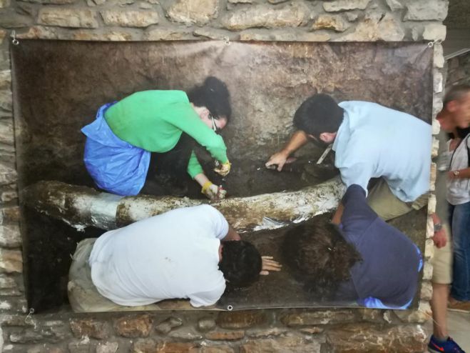 &Eta; &theta;&epsilon;&mu;&epsilon;&lambda;ί&omega;&sigma;&eta; &tau;&omicron;&upsilon; &Pi;&alpha;&lambda;&alpha;&iota;&omicron;&nu;&tau;&omicron;&lambda;&omicron;&gamma;&iota;&kappa;&omicron;ύ &Mu;&omicron;&upsilon;&sigma;&epsilon;ί&omicron;&upsilon; &sigma;&tau;&omicron; Ί&sigma;&iota;&omega;&mu;&alpha; &Kappa;&alpha;&rho;&upsilon;ώ&nu; &Mu;&epsilon;&gamma;&alpha;&lambda;ό&pi;&omicron;&lambda;&eta;&sigmaf;! (&epsilon;&iota;&kappa;ό&nu;&epsilon;&sigmaf;)