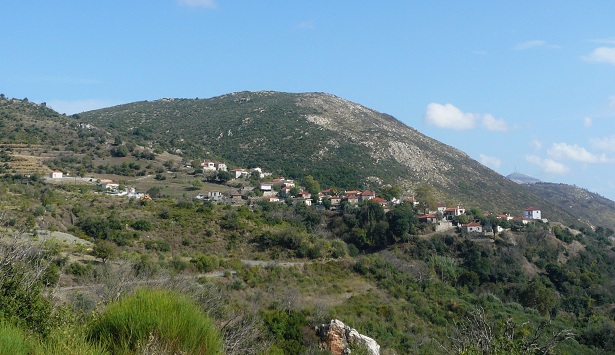 Μαλλωτά - Κοπή πίτας στο Δημοτικό Σχολείο