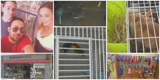 Animal World | Έ&nu;&alpha;&sigmaf; &pi;&omicron;&lambda;&lambda;ά &upsilon;&pi;&omicron;&sigma;&chi;ό&mu;&epsilon;&nu;&omicron;&sigmaf; &kappa;ό&sigma;&mu;&omicron;&sigmaf; &tau;&omega;&nu; &zeta;ώ&omega;&nu;, ά&nu;&omicron;&iota;&xi;&epsilon; &tau;&iota;&sigmaf; &pi;ό&rho;&tau;&epsilon;&sigmaf; &tau;&omicron;&upsilon; &sigma;&tau;&eta;&nu; &Tau;&rho;ί&pi;&omicron;&lambda;&eta;!(vd)