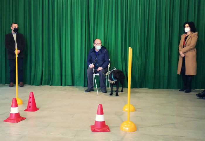 Βυτίνα | Βιωματική δράση στο σχολείο για την Παγκόσμια ημέρα ΑμεΑ από το Δημοτικό Σχολείο (εικόνες)