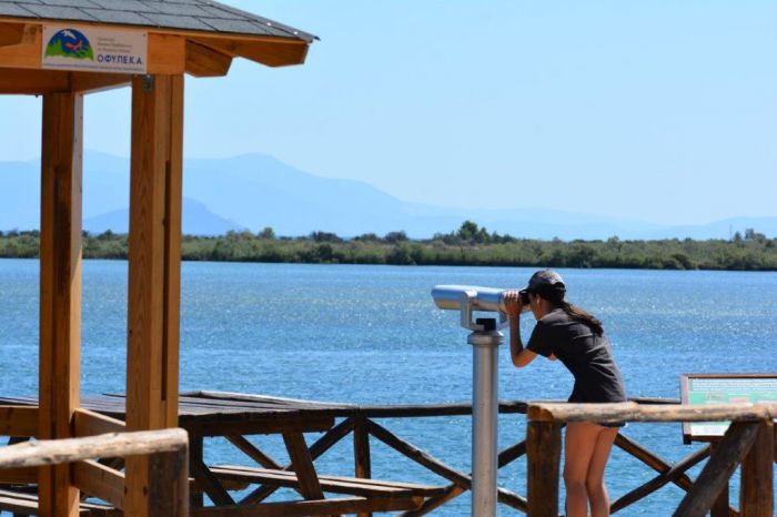&Xi;ύ&lambda;&iota;&nu;&alpha; &pi;&alpha;&rho;&alpha;&tau;&eta;&rho;&eta;&tau;ή&rho;&iota;&alpha;, &kappa;&iota;ά&lambda;&iota;&alpha; &mu;&alpha;&kappa;&rho;&iota;&nu;ή&sigmaf; &theta;έ&alpha;&sigma;&eta;&sigmaf; &kappa;&alpha;&iota; &nu;έ&alpha; &pi;&alpha;&gamma;&kappa;ά&kappa;&iota;&alpha; &sigma;&tau;&eta; &lambda;&iota;&mu;&nu;&omicron;&theta;ά&sigma;&sigma;&alpha; &Mu;&omicron;&upsilon;&sigma;&tau;&omicron;ύ (&epsilon;&iota;&kappa;ό&nu;&epsilon;&sigmaf;)