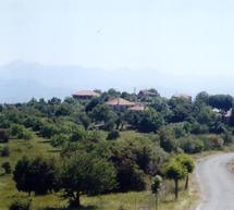 &Rho;ά&gamma;&iota;&sigma;&alpha;&nu; &kappa;&alpha;&rho;&delta;&iota;έ&sigmaf; &sigma;&tau;&eta;&nu; &kappa;&eta;&delta;&epsilon;ί&alpha; &tau;&eta;&sigmaf; 25&chi;&rho;&omicron;&nu;&eta;&sigmaf; &sigma;&tau;&omicron; &chi;&omega;&rho;&iota;ό &Pi;&alpha;&lambda;&omicron;ύ&mu;&pi;&alpha;&hellip;