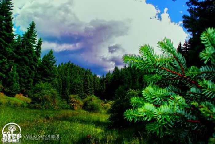 &Mu;&alpha;ί&nu;&alpha;&lambda;&omicron; - Έ&nu;&alpha; &sigma;&tau;&omicron;&lambda;ί&delta;&iota; &mu;&omicron;&nu;&alpha;&delta;&iota;&kappa;ή&sigmaf; &omicron;&mu;&omicron;&rho;&phi;&iota;ά&sigmaf; &kappa;&alpha;&iota; &zeta;&omega;&tau;&iota;&kappa;ή&sigmaf; &sigma;&eta;&mu;&alpha;&sigma;ί&alpha;&sigmaf;, &chi;&rho;έ&omicron;&sigmaf; &mu;&alpha;&sigmaf; &nu;&alpha; &tau;&omicron; &pi;&rho;&omicron;&sigma;&tau;&alpha;&tau;έ&psi;&omicron;&upsilon;&mu;&epsilon;!