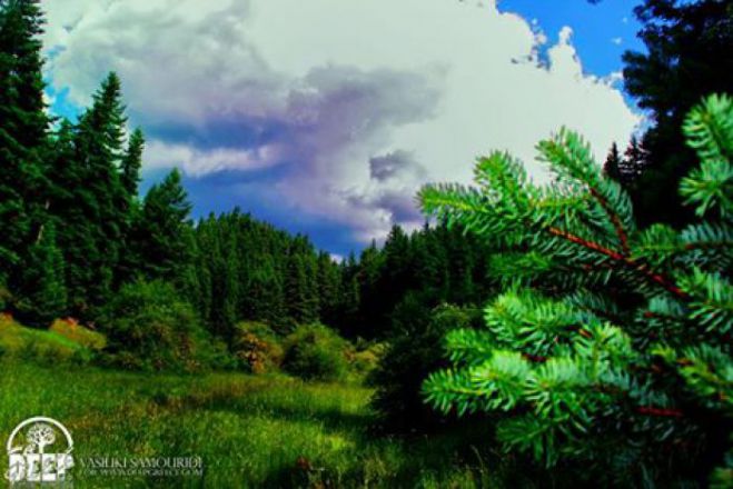 &Mu;&alpha;ί&nu;&alpha;&lambda;&omicron; - Έ&nu;&alpha; &sigma;&tau;&omicron;&lambda;ί&delta;&iota; &mu;&omicron;&nu;&alpha;&delta;&iota;&kappa;ή&sigmaf; &omicron;&mu;&omicron;&rho;&phi;&iota;ά&sigmaf; &kappa;&alpha;&iota; &zeta;&omega;&tau;&iota;&kappa;ή&sigmaf; &sigma;&eta;&mu;&alpha;&sigma;ί&alpha;&sigmaf;, &chi;&rho;έ&omicron;&sigmaf; &mu;&alpha;&sigmaf; &nu;&alpha; &tau;&omicron; &pi;&rho;&omicron;&sigma;&tau;&alpha;&tau;έ&psi;&omicron;&upsilon;&mu;&epsilon;!