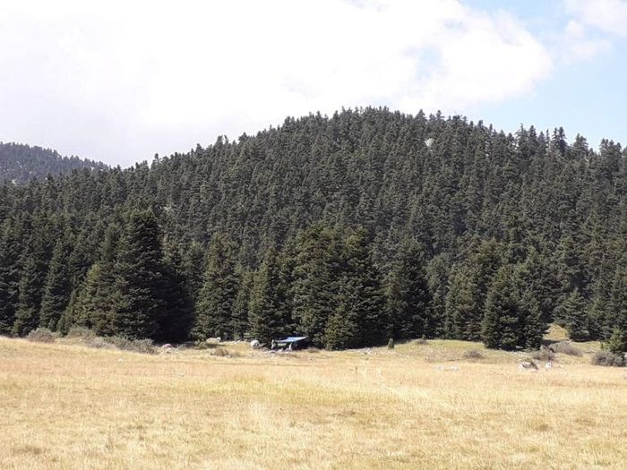 &Alpha;&theta;&lambda;&eta;&tau;&iota;&kappa;ό &Kappa;έ&nu;&tau;&rho;&omicron; &sigma;&tau;&eta; &Beta;&upsilon;&tau;ί&nu;&alpha; | "&Pi;έ&phi;&tau;&omicron;&upsilon;&nu;" &upsilon;&pi;&omicron;&gamma;&rho;&alpha;&phi;έ&sigmaf; &gamma;&iota;&alpha; &tau;&eta;&nu; &pi;&alpha;&rho;&alpha;&chi;ώ&rho;&eta;&sigma;&eta; &tau;&omicron;&upsilon; &Sigma;&alpha;&nu;&alpha;&tau;&omicron;&rho;ί&omicron;&upsilon; &laquo;&Iota;&theta;ώ&mu;&eta;&raquo; &sigma;&tau;&eta;&nu; &Pi;&epsilon;&rho;&iota;&phi;έ&rho;&epsilon;&iota;&alpha;