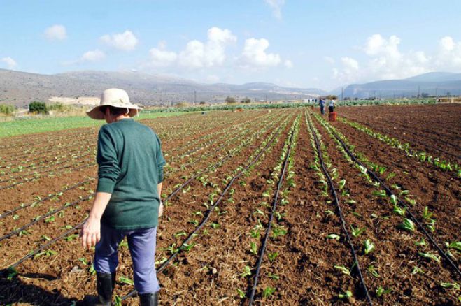 Μεγαλόπολη – Ενημέρωση για την ορθολογική χρήση των γεωργικών φαρμάκων