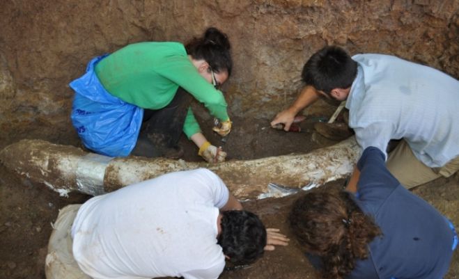 Ένα μουσείο για «γίγαντες» στη Μεγαλόπολη!