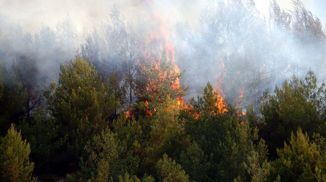 Υψηλός κίνδυνος για εκδήλωση πυρκαγιάς την Τετάρτη στην Αρκαδία