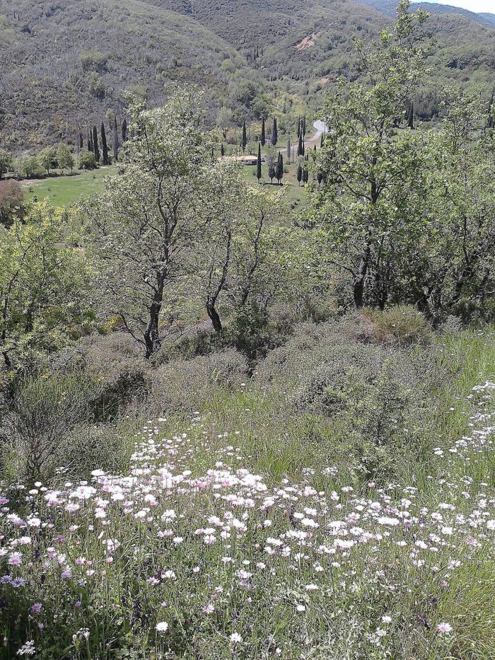 Ανοιξιάτικη γιορτή στο χωριό Ίσαρι