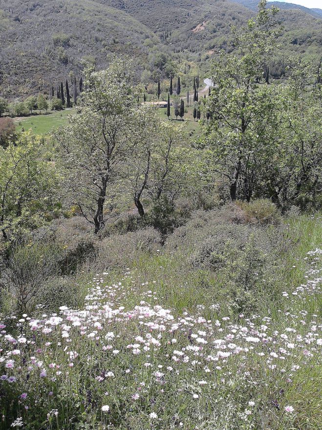 Ανοιξιάτικη γιορτή στο χωριό Ίσαρι